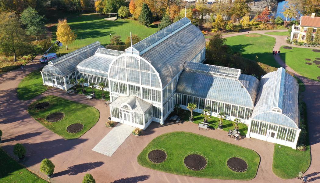 Palmhuset. Foto: Magnus Brink